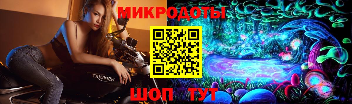 Псилоцибиновые грибы мицелий Сокол